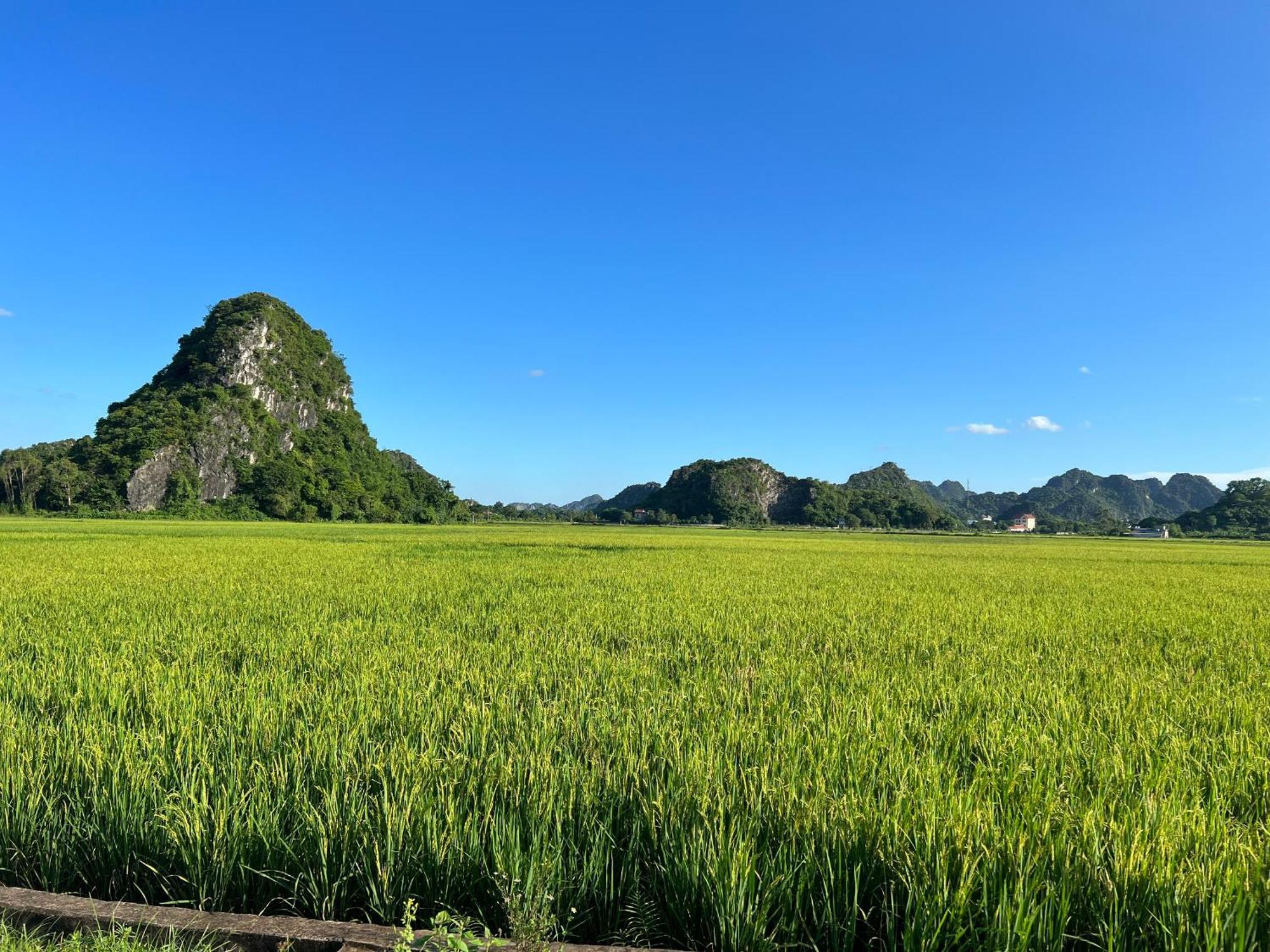 Ninh Binh Family Homestay Экстерьер фото